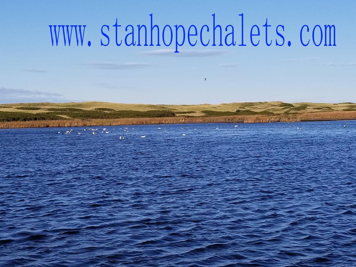Отель Merry Stanhope Chalets Экстерьер фото